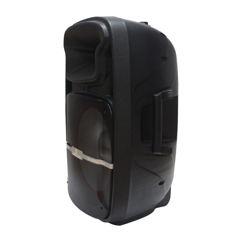 15inch professioneller drahtloser Bluetooth-Lautsprecher mit DSP Electronic Equalizer