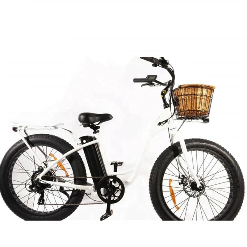 Lithium Battery with MID Drive Motor Electric Fat Ebike, Hot Selling Electric Scooter (ML-FB014)