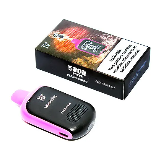 Disposable/Chargeable Vape Factory Qr5000 Puffs Vape Electronic Cigarette Wholesale/Supplier Pen Style E Cigarette