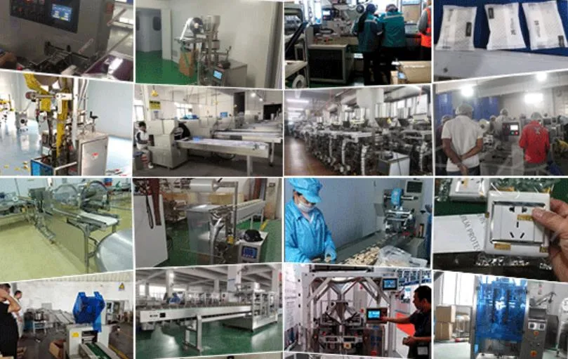 Manufacturers Customized Cake Embryo Automatic Spray Alcohol Coding Packaging Machine Equipment