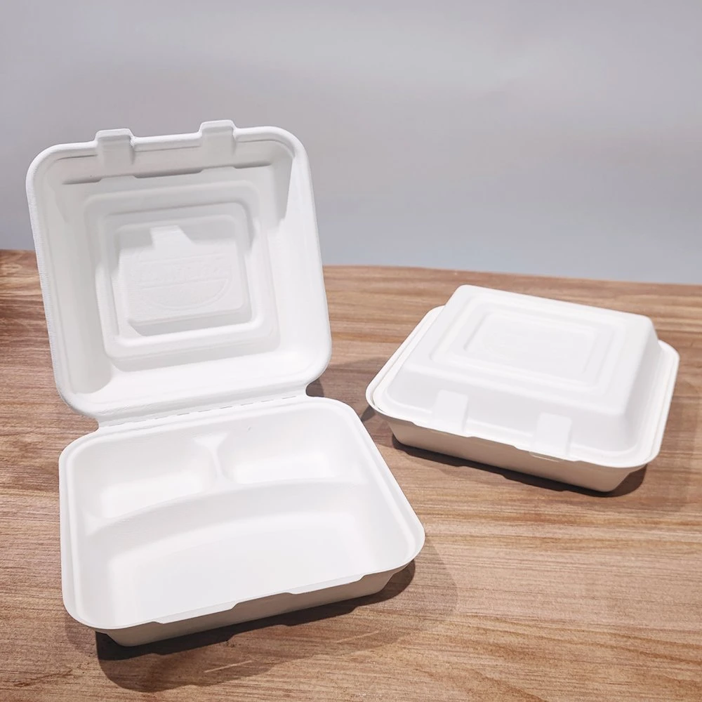 Good Quality Eco Friendly Pack 10 Inch Biodegradable Container Hinged Take Away Food Package Box