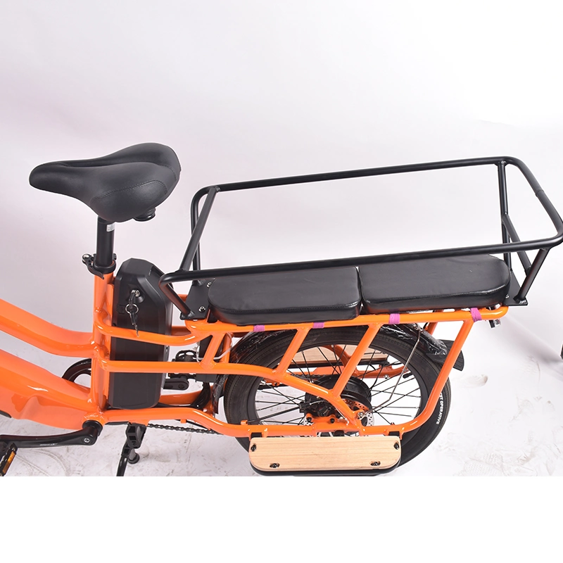 Double Battery Motor Delivery Bike with Box