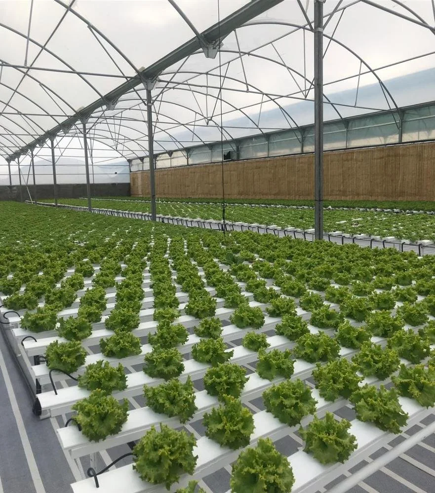 الزراعة الري بالاحتباس الحراري المياه الأيقونية قناة PVC Nft نمو Hydroponic النظام