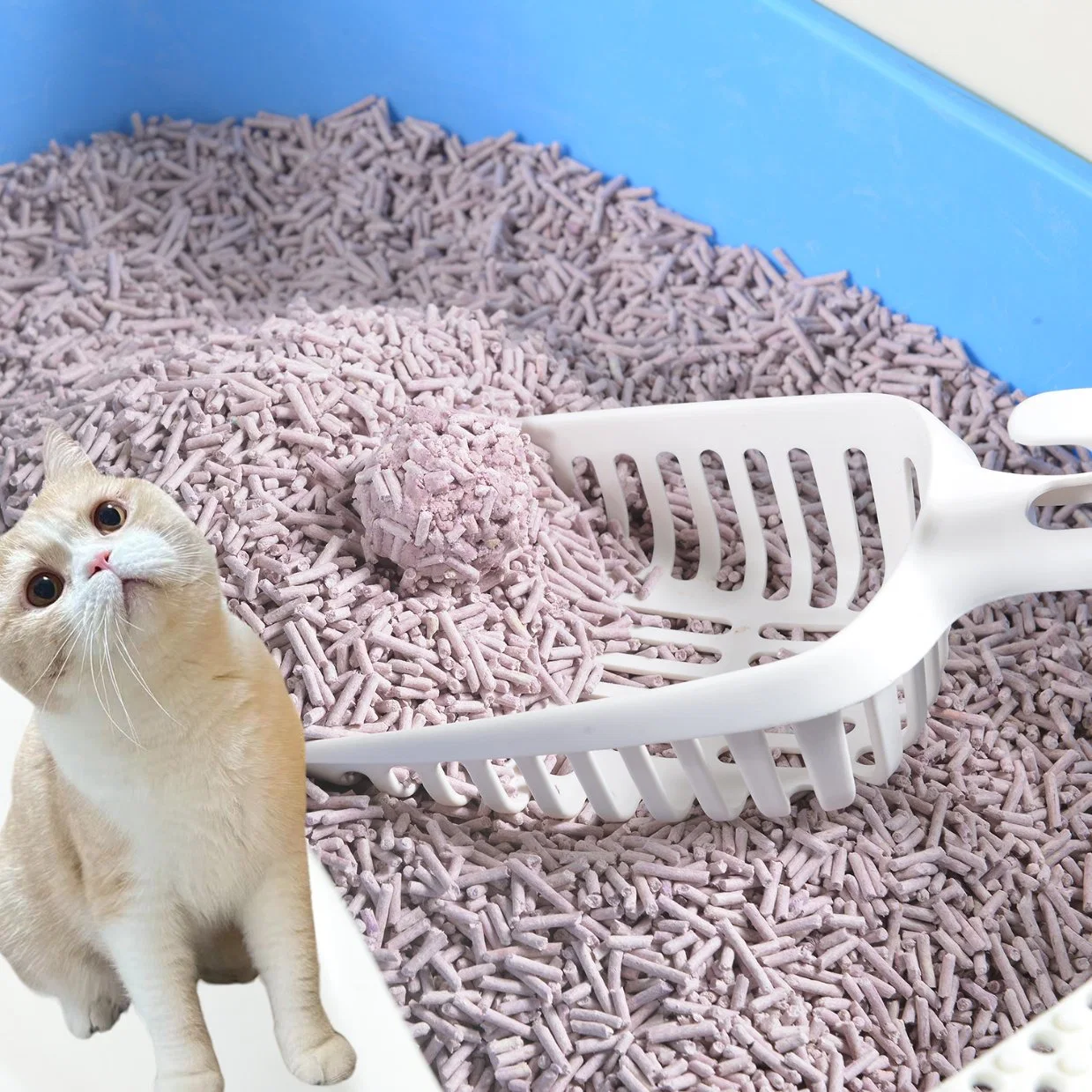 Natural Quickly Clumping and Highly Absorbent Tofu Cat Litter Manufacturer