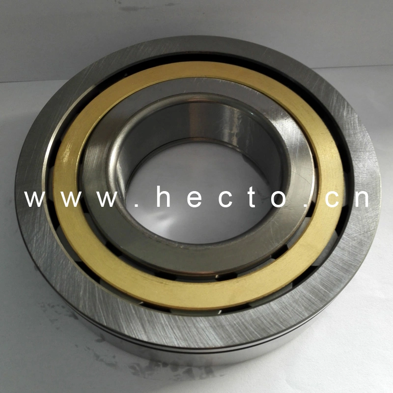 Cylindrical Roller Bearing Thrust Bearing N/Nu/NF/Nj/Nup/Ncl/Rn/Rnu Single Double Row