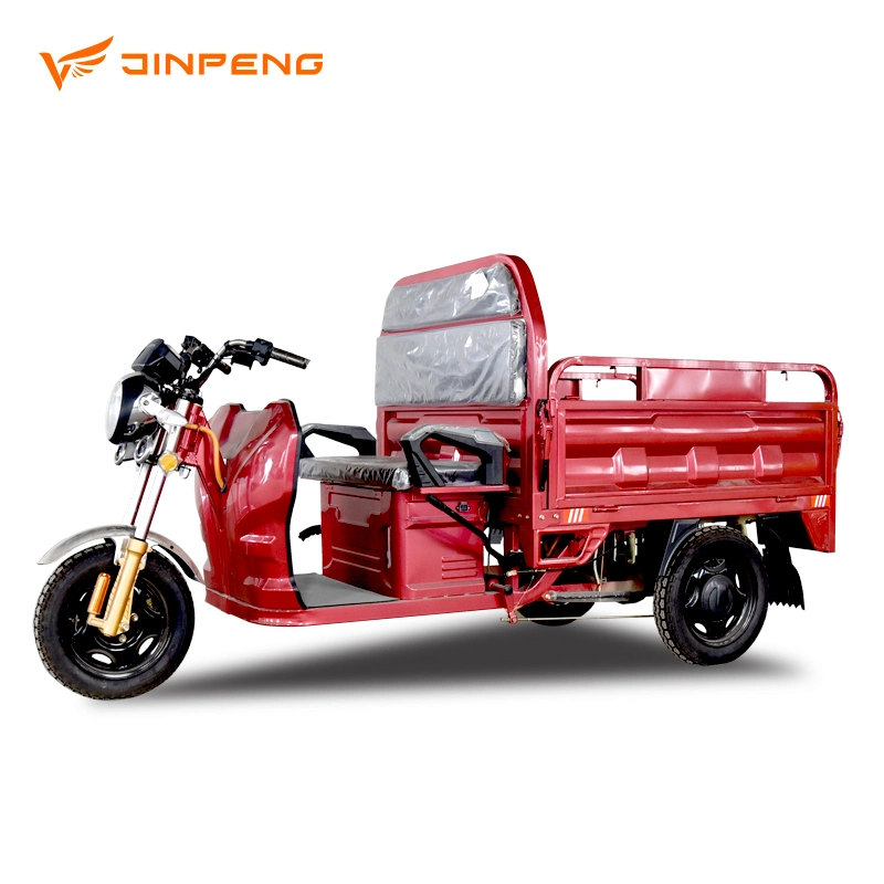 Electric Trike Adult 3 Wheeler for Cargo Support Customization Jinpeng