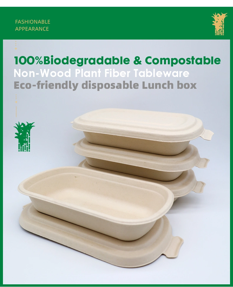 Sugarcane Bagasse Disposable Takeout Food Container for Microwave Plate Clamshell Tray Tableware