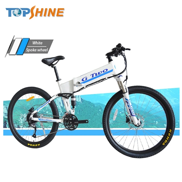 Customizable Logo Folding Electric Bike with GPS Tracker Stereo Speaker Odometer