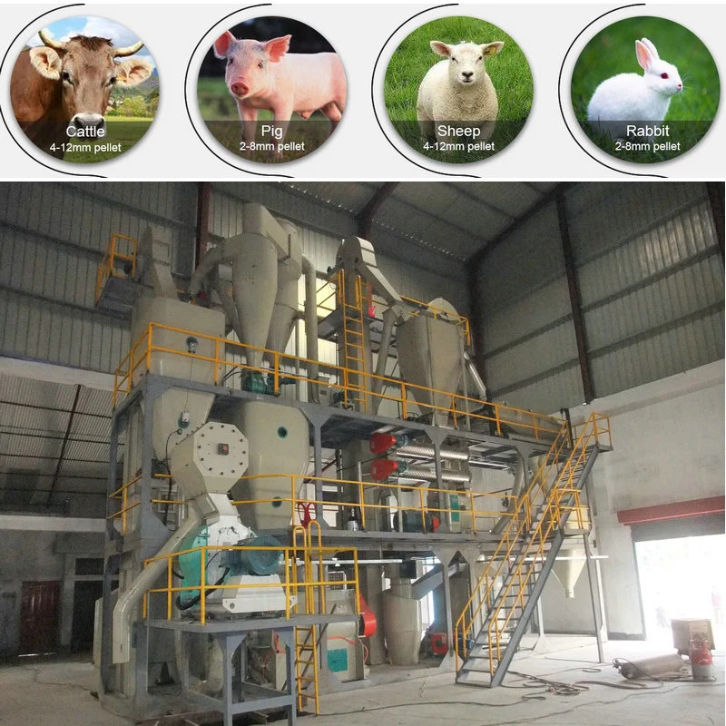 5T/H CE Farm تغذية الدواجن معالجة/تمييز آلة/ آلات بيليه ل الحيوانات الدجاج الماشية الأغنام الففا
