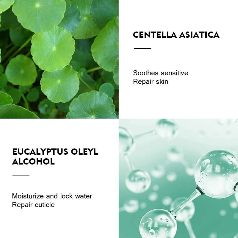 Factory Customizable Private Brand Name Centella Herbal Plant Extract Moisturizing Hydrate Face Spray