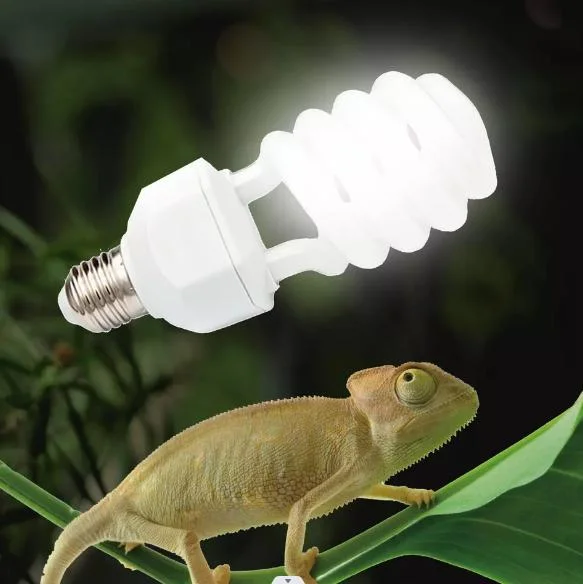 UL Terrariums Reptiles Aquarium Reptile Grow Light Clamp Lamp