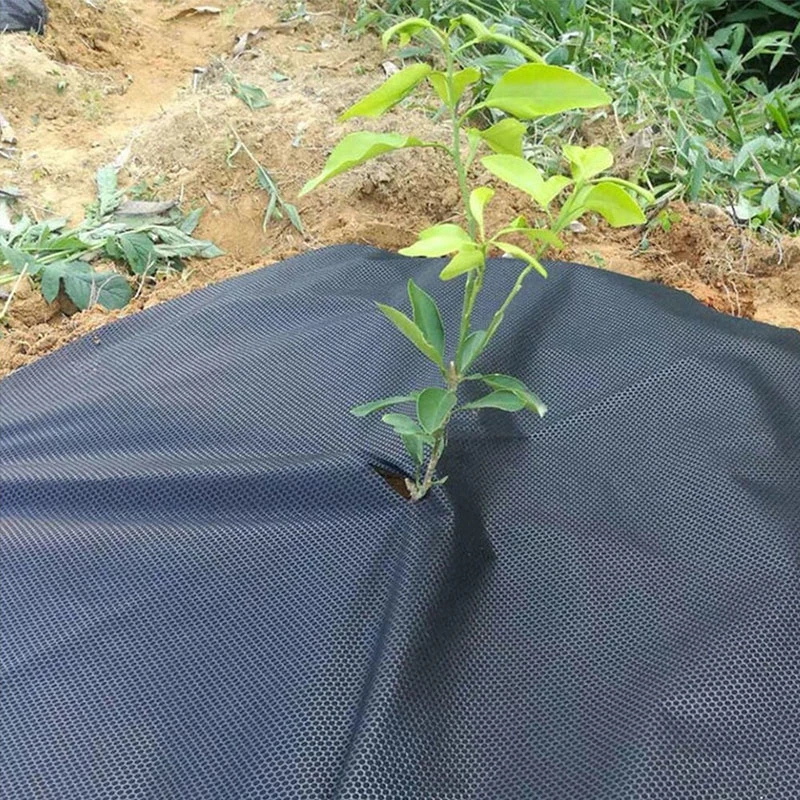 Jardín planta a prueba de insectos Banana proteger Agricultura PP no tejido Tela