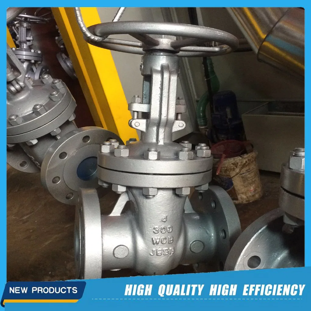 API 600 /DIN/ GB/JIS A216 Wcb/Gp240gh/1.0619/Gsc25 Industrial Gate Valves CE Valves