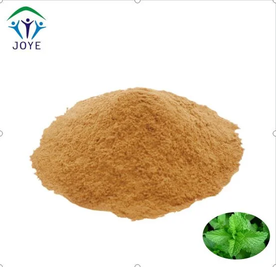 100% Natural Organic Peppermint Extract Powder