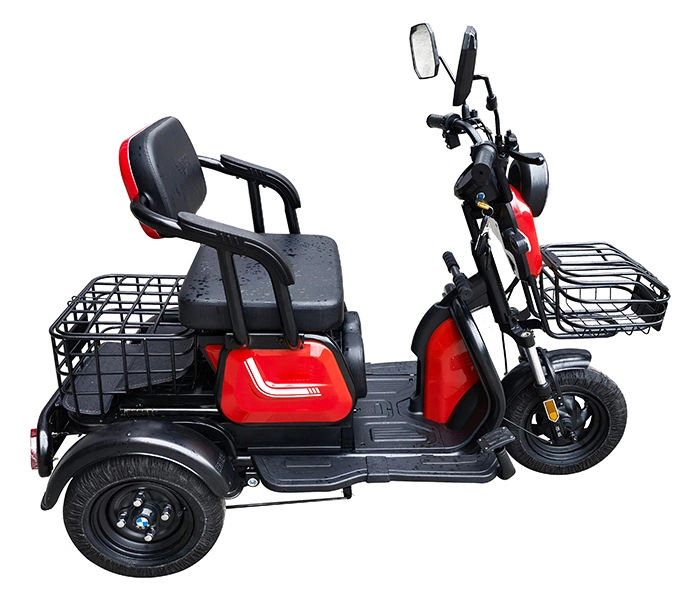 3 Wheel E Bike for Philippines/Canada with Best Price From Original Factory