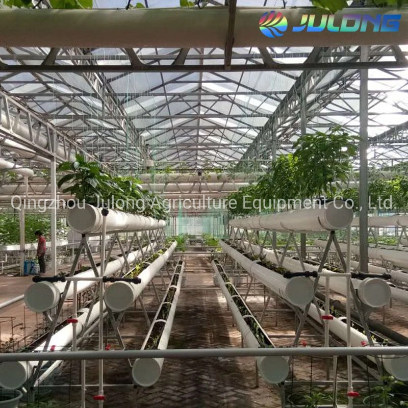 2019 Modern Design PC Board Greenhouse with Glass Cover 30 X 100 Greenhouse