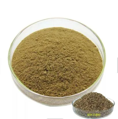 Cnidium Monnieri Extract Osthole 98%