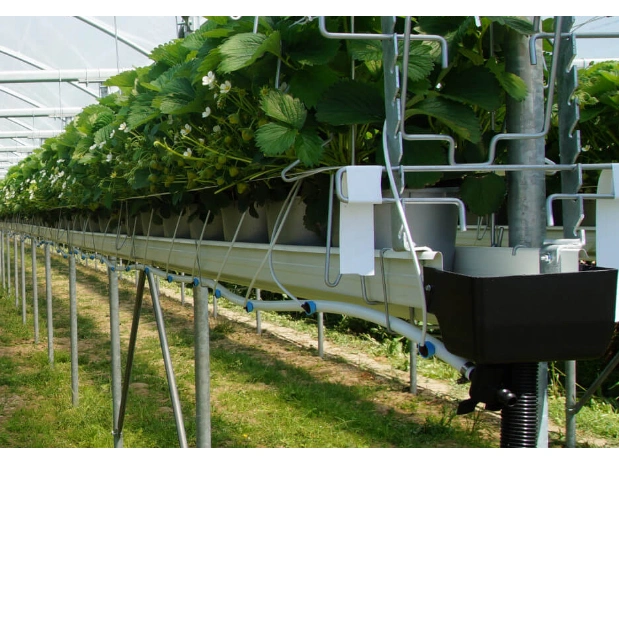 Wmgh038 منزل فينيلو الزجاج الأخضر عالي الكفاءة مع Hydroponic نظام متزايد