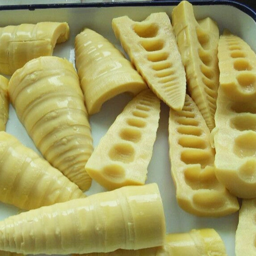 Canned Food Canned Bamboo Shoot Slices Bamboo Halves in Brine Whole/ Halves/Slice