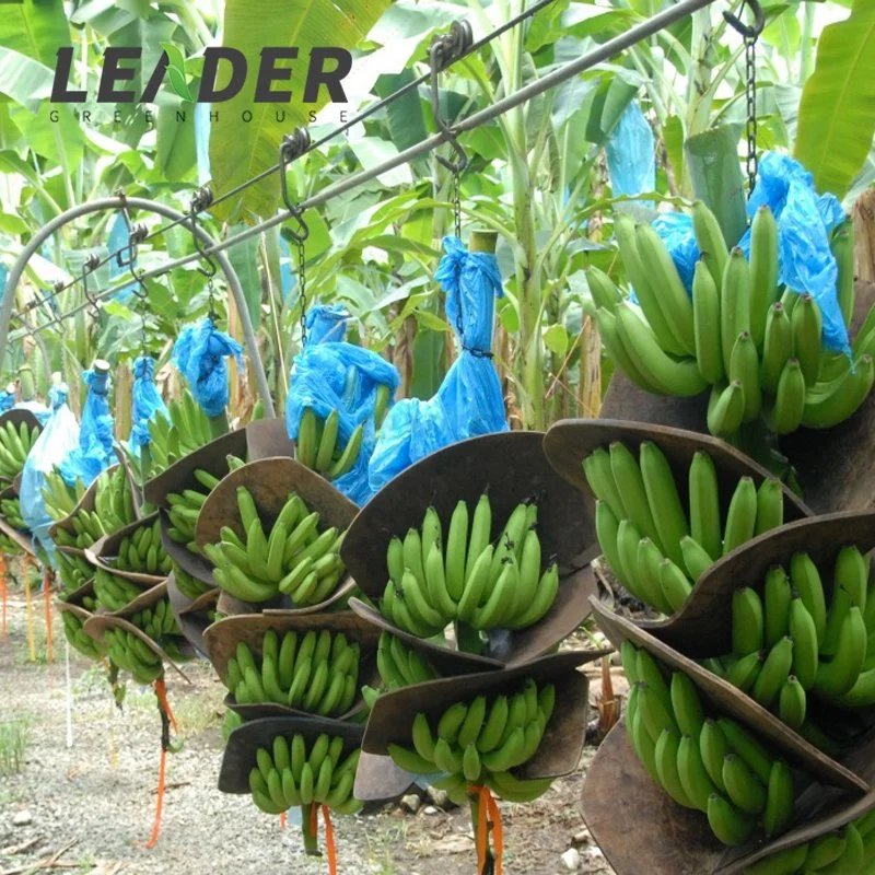 Agriculture Banana Trolley Pulley Rolling Tools