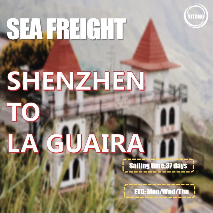 Fret maritime de Shenzhen à la Guaira Venezuela