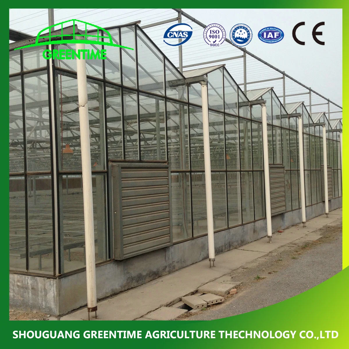 Best Quality Venlo Type Galvanized Steel Structure Glass Greenhouse with Heating System for Hydroponics/Strawberry/Vegetables/Flowers/Tomato/Pepper