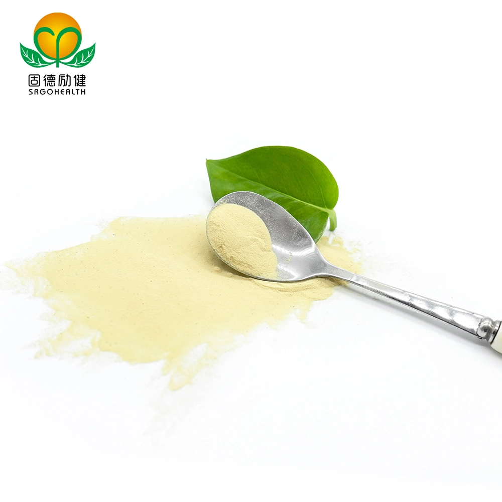 OEM GMP Hot Selling Lower Price Organic Rice Protein