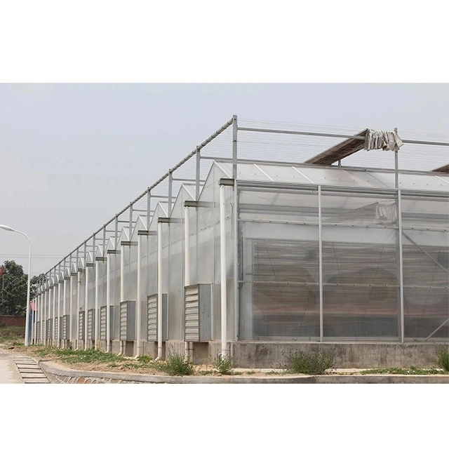 Low-Cost Polycarbonate Greenhouse, Single-Span Multi-Span Garden