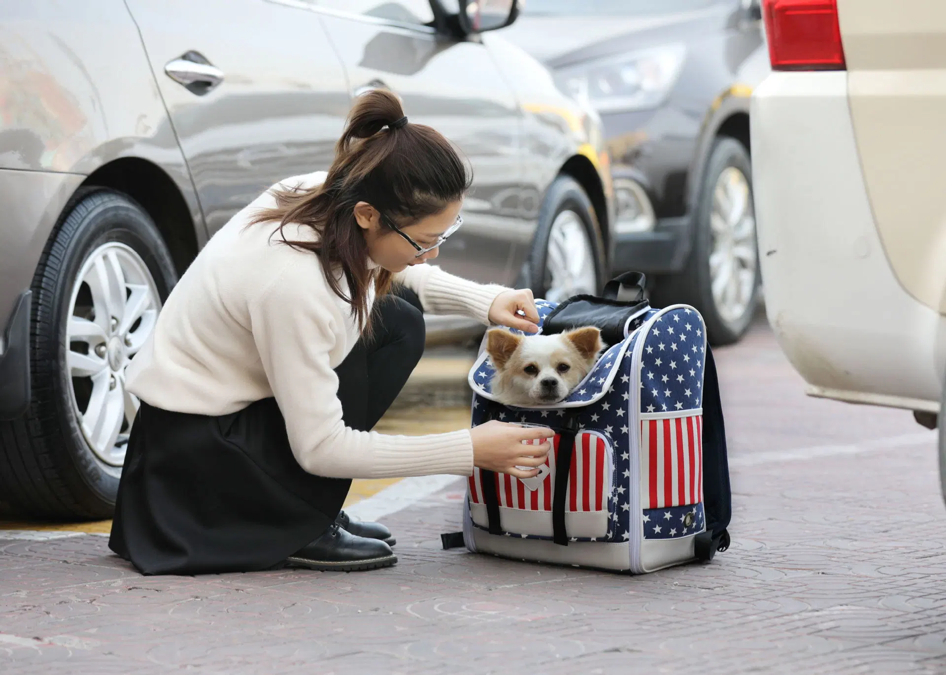 Factory Supply New Foldable Large Capacity Breathable Expansion Cat Dog Pet Carrier