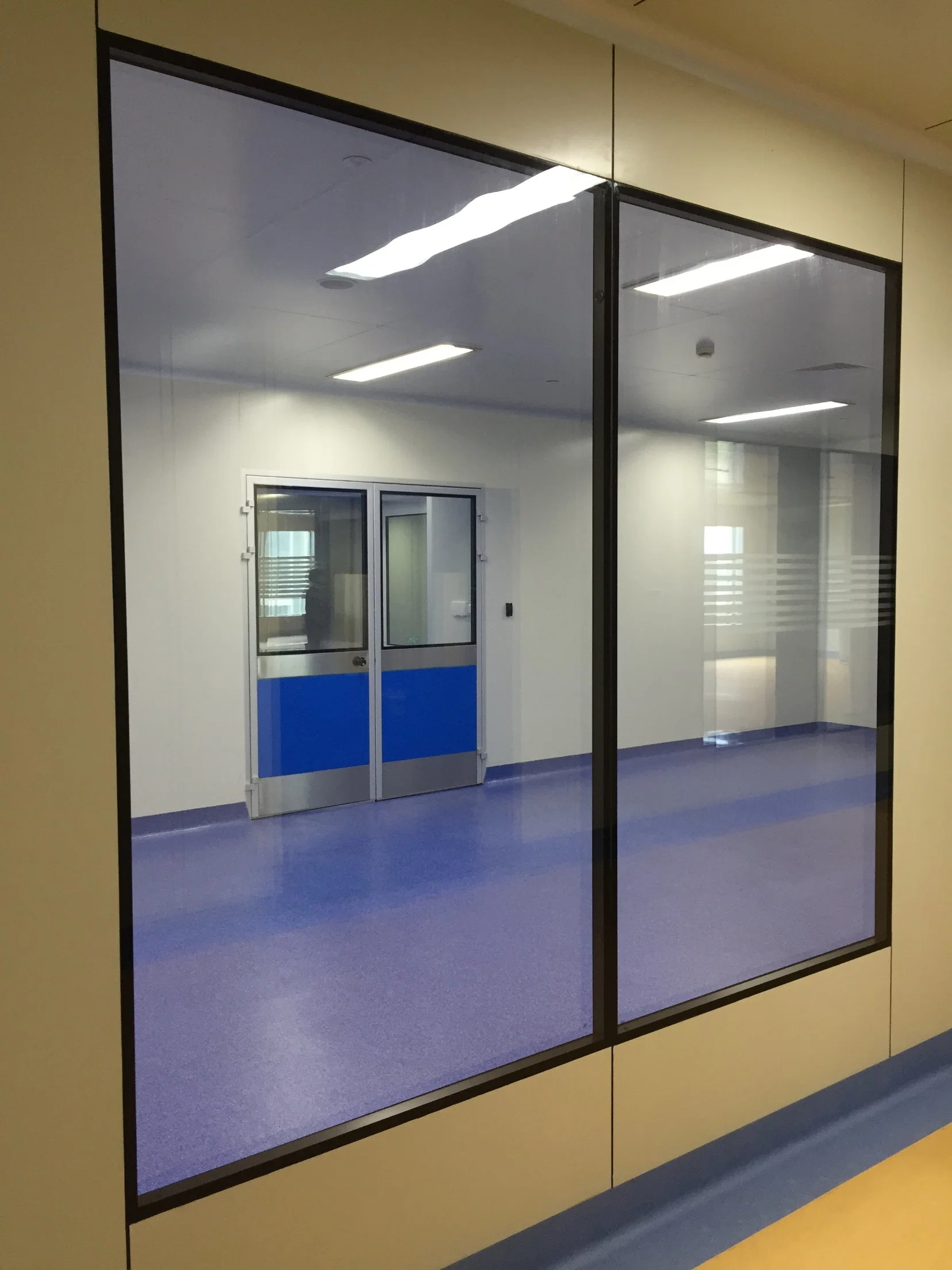 Hollow Double Tempered Glass Clean Windows Used for Contemporary Hospital