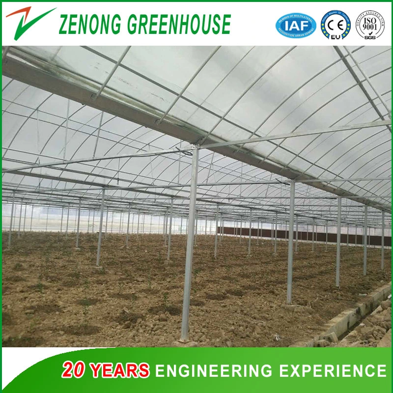 Multi Span Film/Plastic Greenhouse Made of Galvanized Steel Frame for Flowers