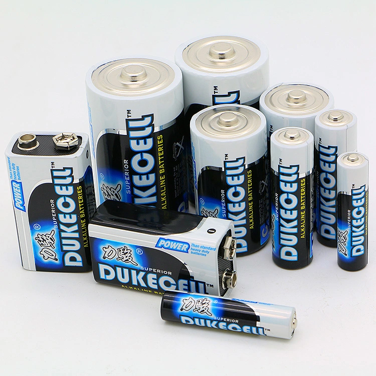 D Batteries 4 Pack Customized Packaging Factory Directly Supplpy