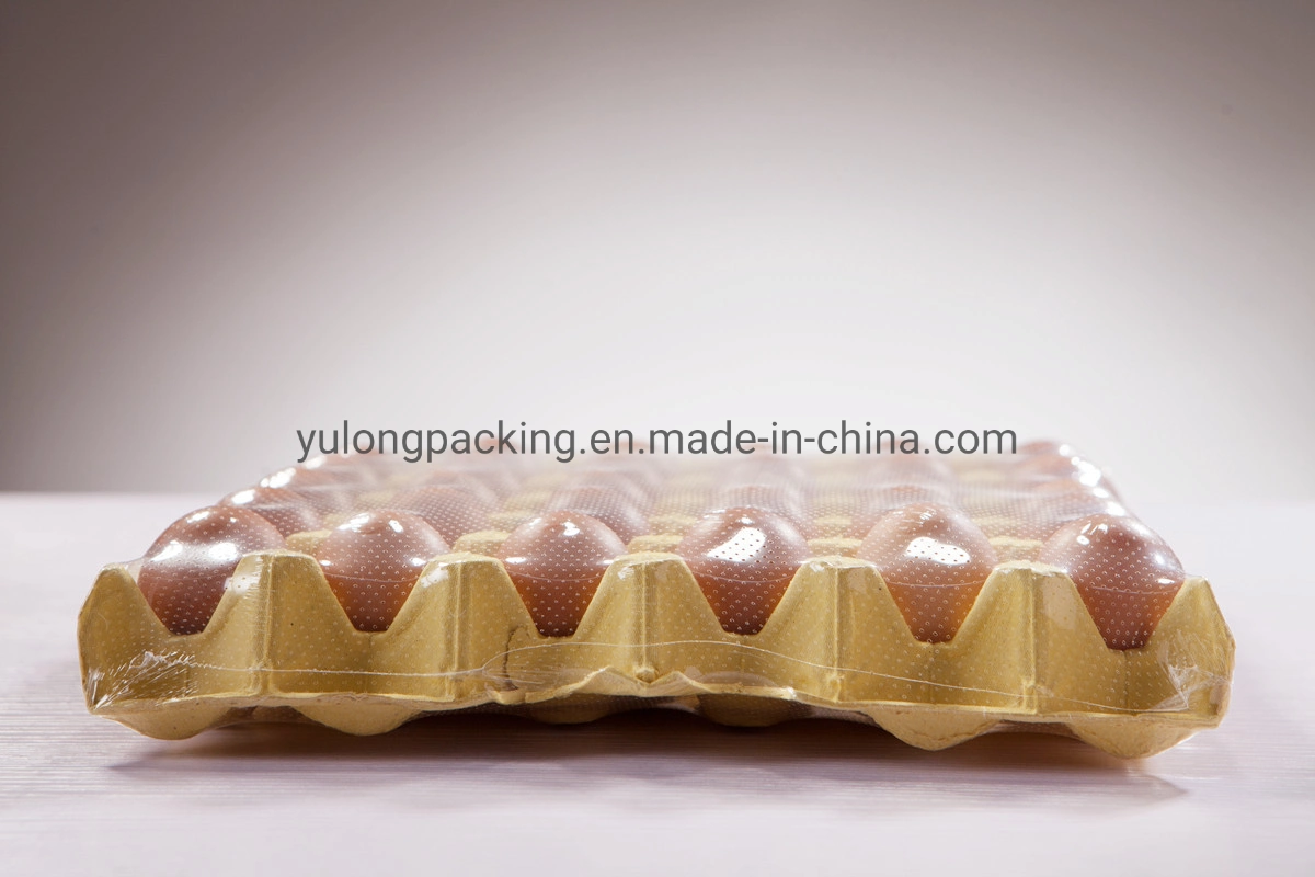 POF Hot Shrink Plastic Film Packing Material