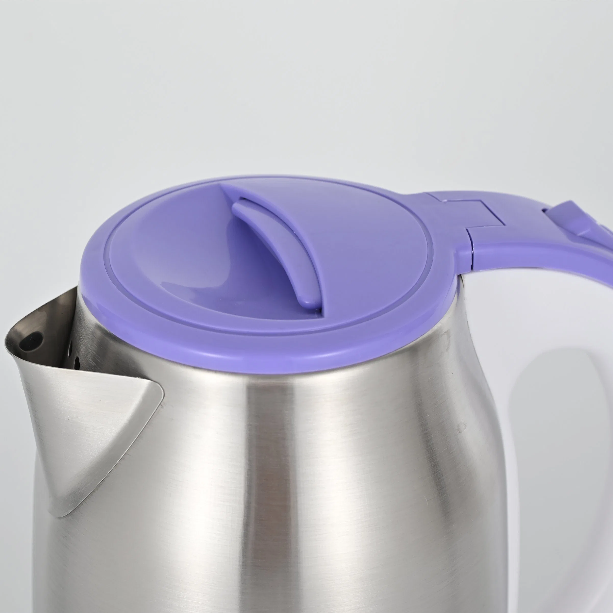 Purple Color 201 Stainless Steel Matt Electrical Kettle