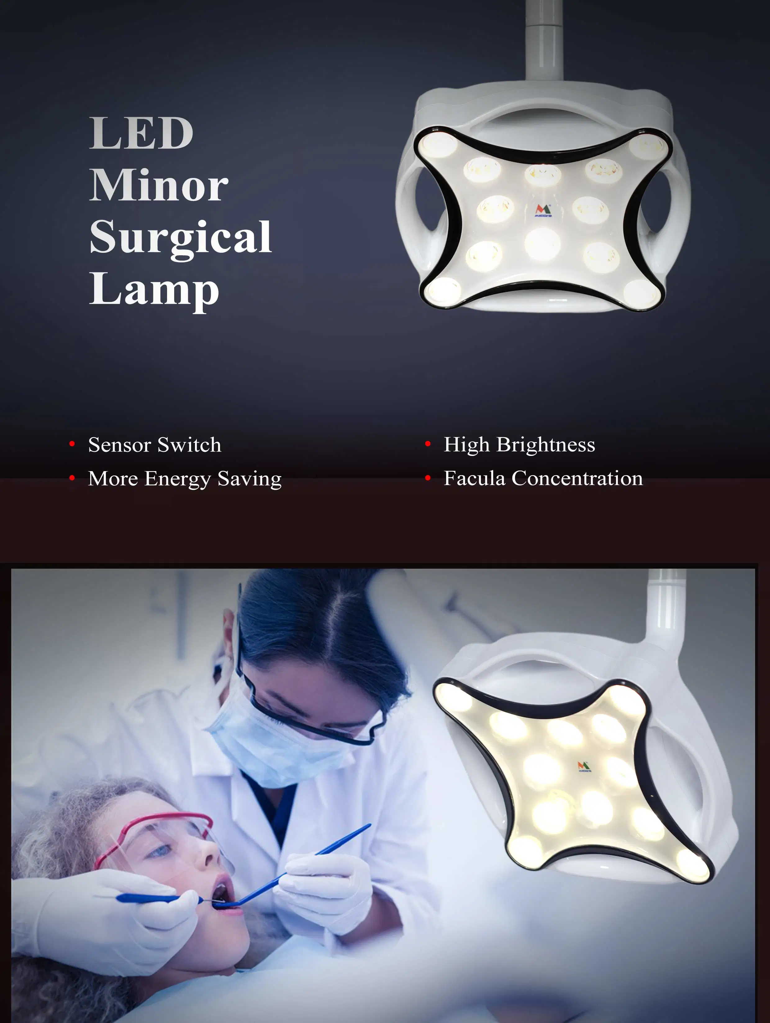 Jd1700L Floor Portable 30W Dental Operation Lamp