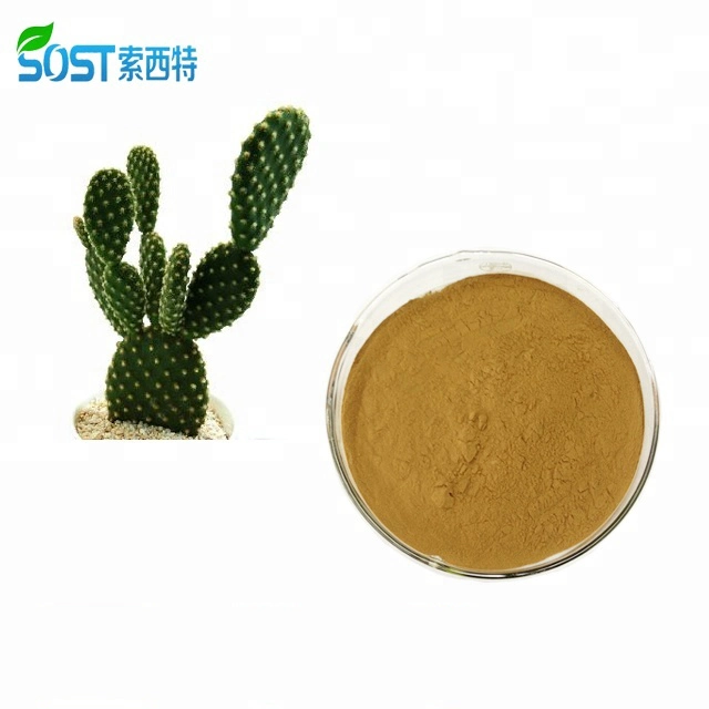 SOST Supply High quality/High cost performance  OEM Caralluma Fimbriata Powder Extract