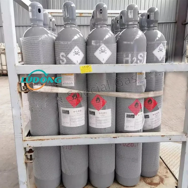 Best Price for Specialty Gas Purity 99.5% 99.9% Industrial Hydrogen Sulfide H2s