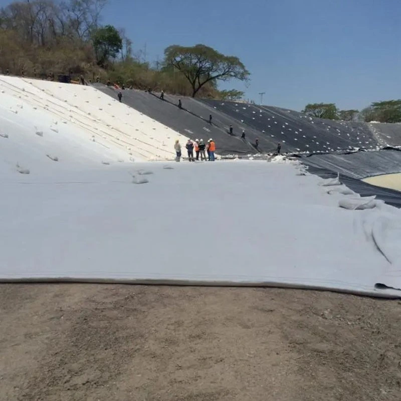 Geotextil tejido de poliéster de alta resistencia para la construcción de carreteras