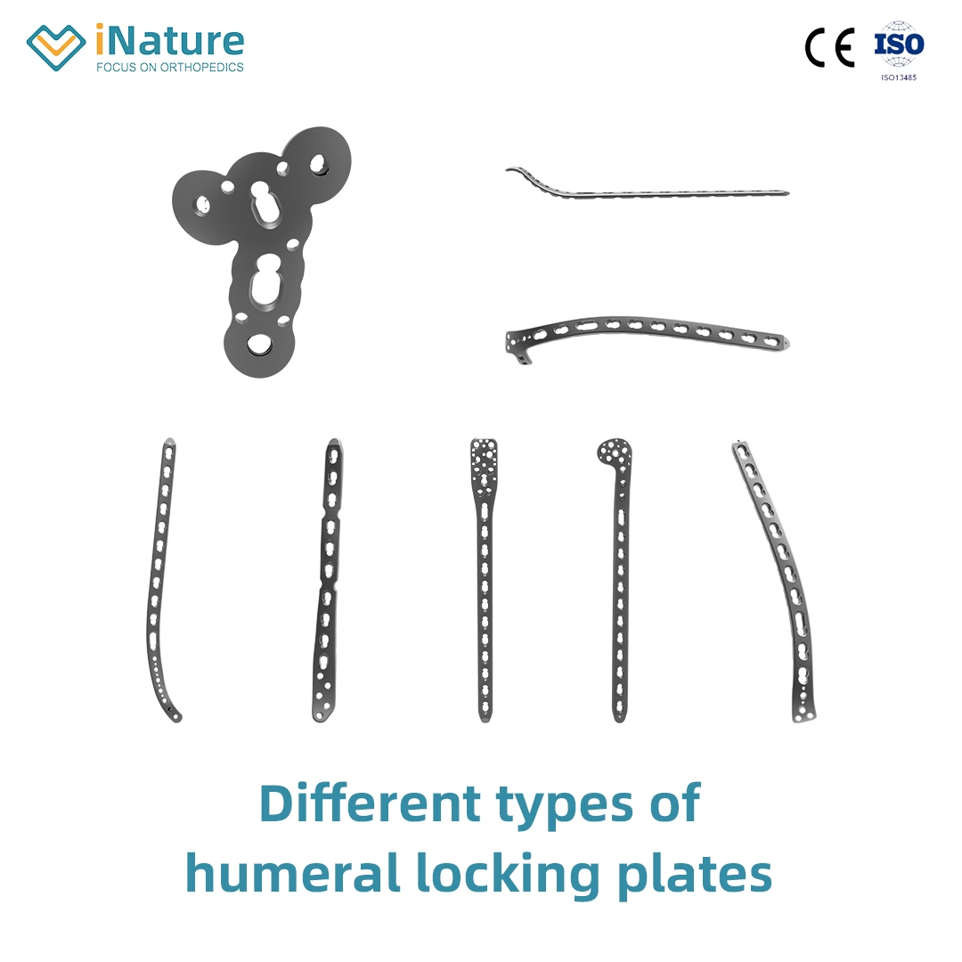 Proximal Humeral Locking Plate I CE/ISO13485 Orthopedic Implant