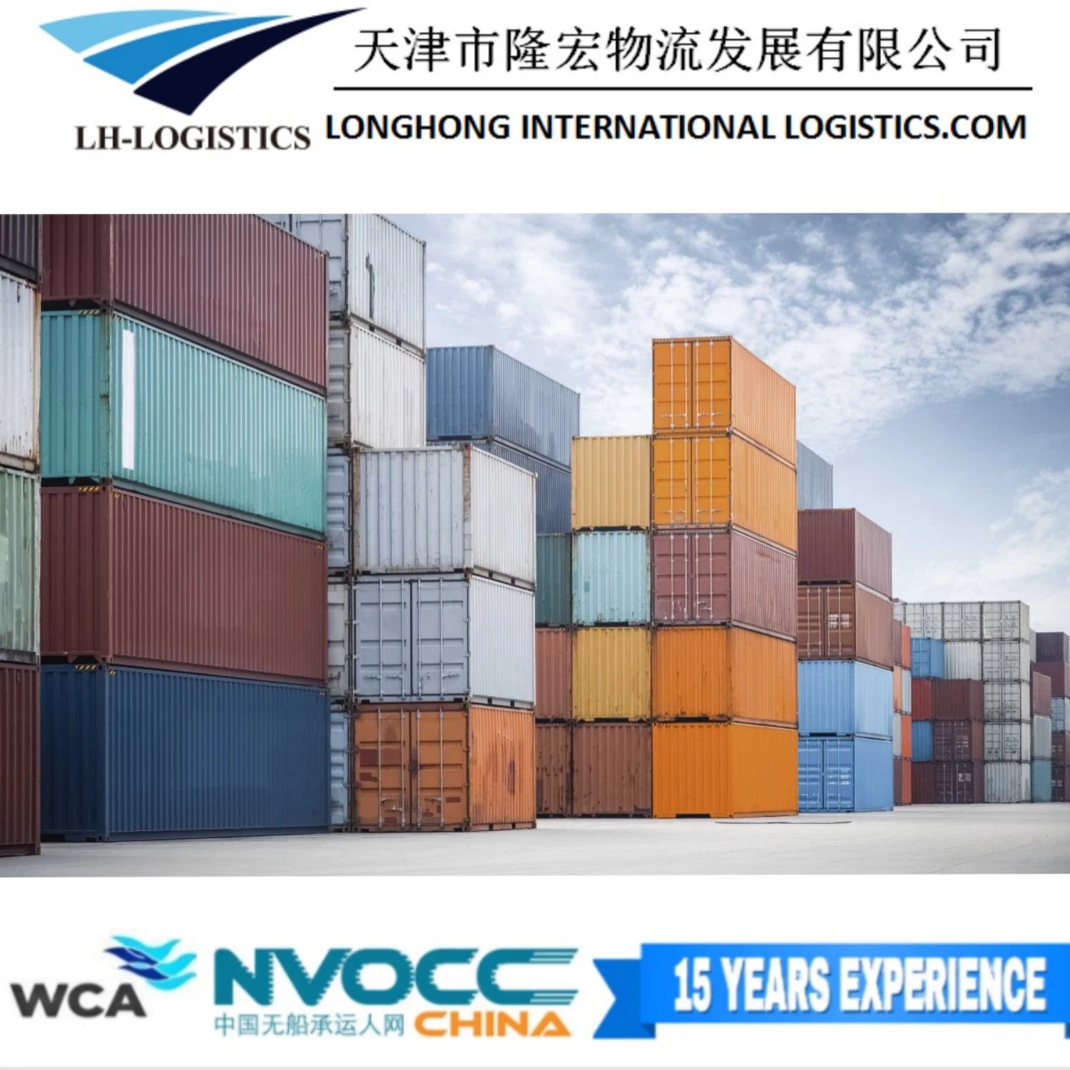 Professional Sea Freight Forwarder Agent Shipping From China to Euro /Italy/ France