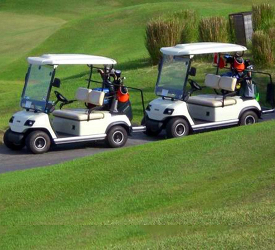 4 Ruedas motrices de buena calidad de promoción de 2 pasajeros Vehículo Carrito de golf (LT-A2).