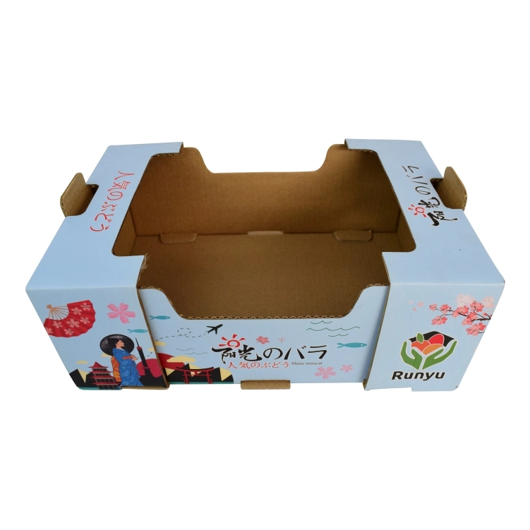 L'emballage du papier coloré de raisin boîte rectangulaire personnalisée en usine du carton ondulé boîte Afficher boîte d'emballage de fruits