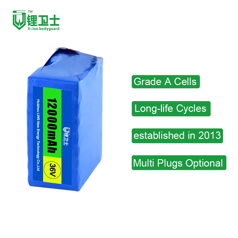 Lws Cycle Life Over 3000 Times 12V 24V 36V 48V 52V 60V 72V 10ah 20ah 30ah 40ah 50ah 100ah Battery Pack Ebike