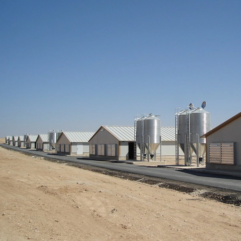 Automatic Pan Feeder Feeding System for Broiler Chicken Poultry Farm