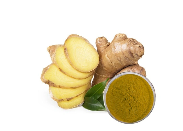 Food and Beverage Wholesale Price 100% Dehydrates Ginger Extract