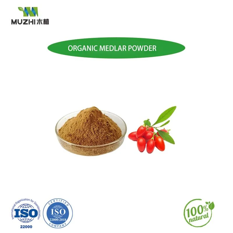 China's Hot Selling Organic Dried Wolfberry Fruit Products Dried Wolfberry Fruit