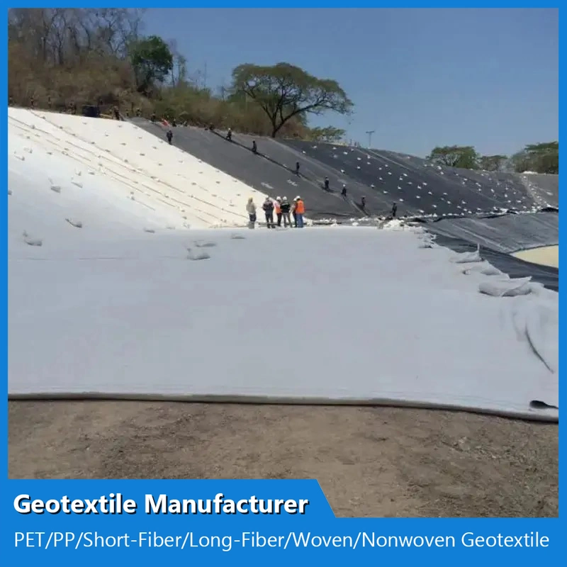 Constructional Material Filament Spunbond PP Nonwoven Geotextile for Road Highway Railway Slope Tunnel Construction