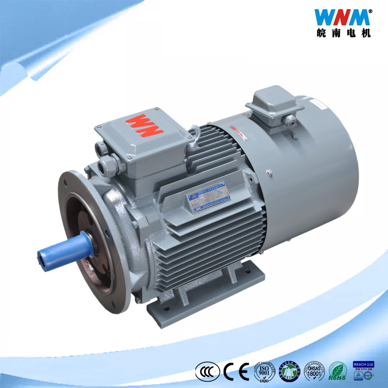 Yvf2 Ce 3 Phase AC Electric Induction Wide Frequency 5~100Hz Speed Variable Inverter Ready Motor IC416 Cooling for Pump Textile Packing Food Yvf2-160L-4 15kw