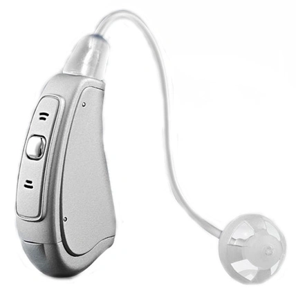 Manually Controlled Digital Hearing Aid with Dual-Core and Low Power Consumption