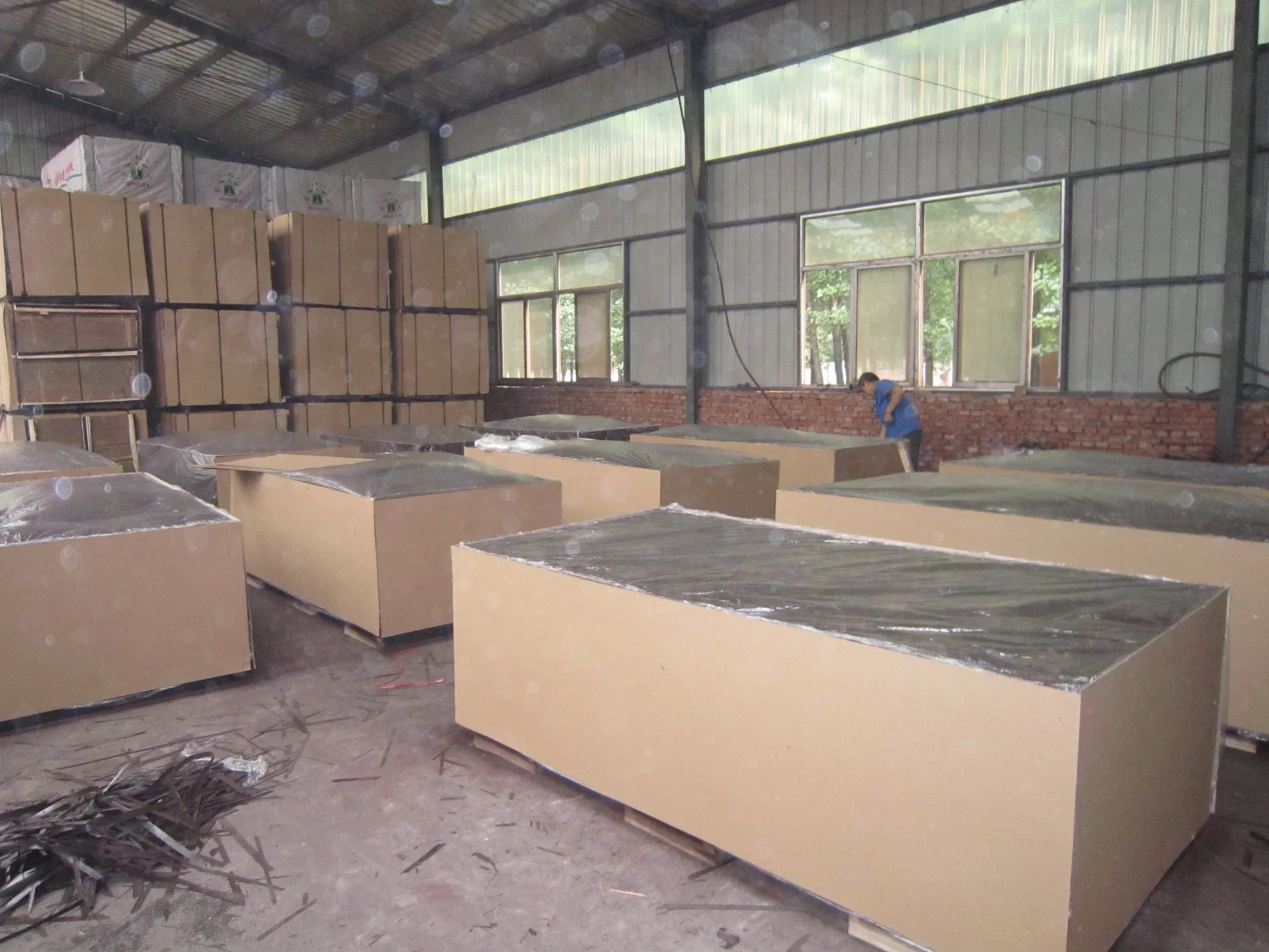 Laminated Film Faced Plywood/ Shuttering Plywood for Building